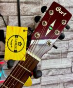 Cort SFX-ETWB Transparan Şarap Kırmızı Elektro Akustik Gitar - Görsel 7