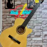 VALLER VGX300 İnce Kasa Elektro Klasik Gitar