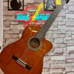 Valler VG517CEQ Elektro Klasik Gitar