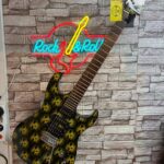 Washburn Pro X10 HSS Elektro Gitar (İkinci El-Kullanılmış)