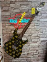 Washburn Pro X10 HSS Elektro Gitar (İkinci El-Kullanılmış)