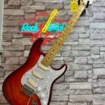Fender Player Plus Top Stratocaster/EMG D20 David Gilmour Outlet (İkinci El-Kullanılmış)