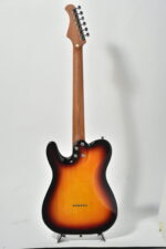 Bacchus BTE1DX RSM/M 3 Tone Sunburst - Görsel 3