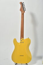 Bacchus BTE1DX RSM/M Butterscotch Blonde - Görsel 3