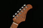 Bacchus BTE1DX RSM/M Ice Blue Metallic - Görsel 10