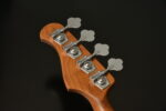 Bacchus BJB-1-RSM/M 3 Tone Sunburst - Görsel 12