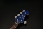 Bacchus WJB5-BP/Act Blue Burst - Görsel 6