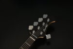 Bacchus WJB5-BP/Act Black Burst - Görsel 7