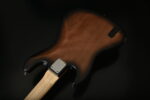 Bacchus WJB5-BP/Act Black Burst - Görsel 9