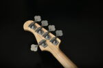 Bacchus WJB5-BP/Act Black Burst - Görsel 11