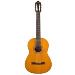 Valencia VC204 Naturel Mat Klasik Gitar 4/4